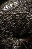 06112 - Beautiful Pyritized 0.90 Inch Phylloceras Lower Cretaceous Ammonites