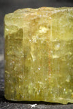 22198 - Beautiful Yellow Green Apatite Crystal - Imilchil (Morocco)