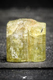 22198 - Beautiful Yellow Green Apatite Crystal - Imilchil (Morocco)