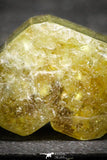 22198 - Beautiful Yellow Green Apatite Crystal - Imilchil (Morocco)