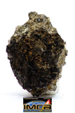 08868 - MARTIAN NWA 6963 Shergottite Meteorite 0.486 g Thin Section with Fusion Crust