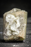 22199 - Beautiful Yellow Green Apatite Crystal - Imilchil (Morocco)