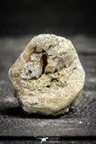 22199 - Beautiful Yellow Green Apatite Crystal - Imilchil (Morocco)