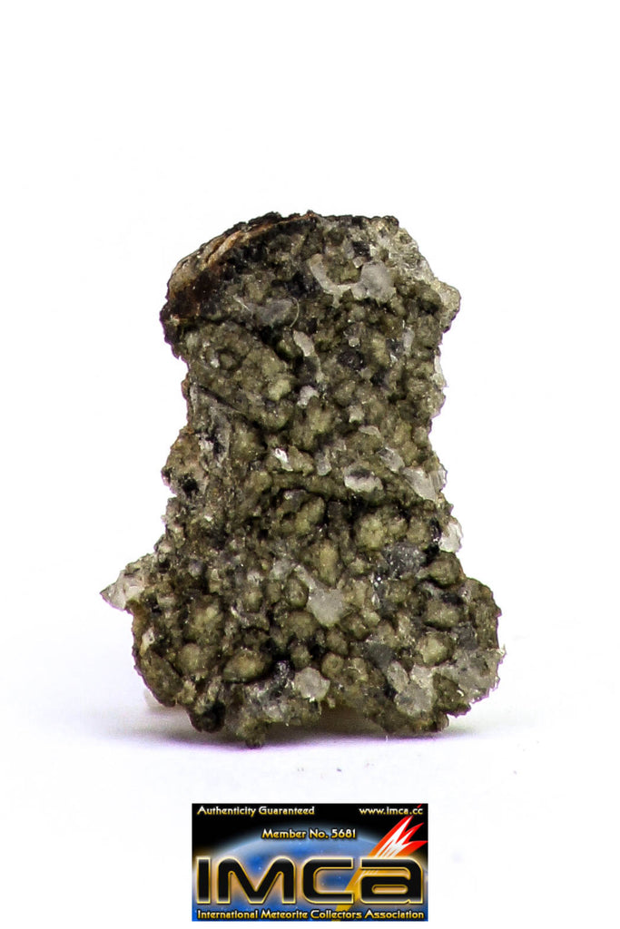 08872 - MARTIAN NWA 6963 Shergottite Meteorite 0.169 g Thin Section with Fusion Crust