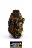 08874 - MARTIAN NWA 6963 Shergottite Meteorite 0.477 g Thin Section with Fusion Crust