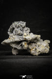 22204 - Galena Crystals + Quartz Crystals + Pyrite in Natural Matrix