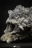 22204 - Galena Crystals + Quartz Crystals + Pyrite in Natural Matrix