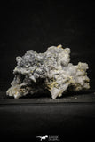 22204 - Galena Crystals + Quartz Crystals + Pyrite in Natural Matrix