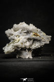 22204 - Galena Crystals + Quartz Crystals + Pyrite in Natural Matrix