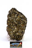 08874 - MARTIAN NWA 6963 Shergottite Meteorite 0.477 g Thin Section with Fusion Crust