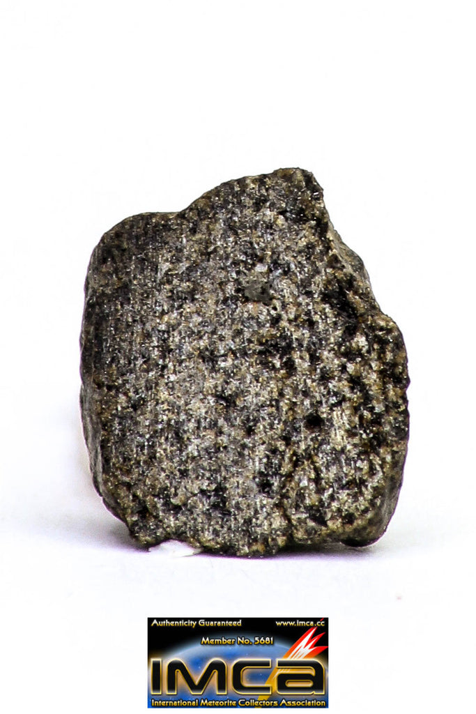 08875 - MARTIAN NWA 6963 Shergottite Meteorite 0.308 g Thin Section