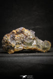 22205 - Top Pale Blue Fluorite Crystals on Matrix Hameda Fluorite Mine South Morocco