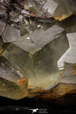 22205 - Top Pale Blue Fluorite Crystals on Matrix Hameda Fluorite Mine South Morocco