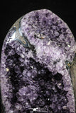 22206 - Beautiful Purple Natural Amethyst Geode Minas Gerais District - Brazil