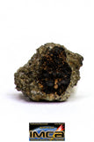 08876 - MARTIAN NWA 6963 Shergottite Meteorite 0.474 g Thin Section with Fusion Crust