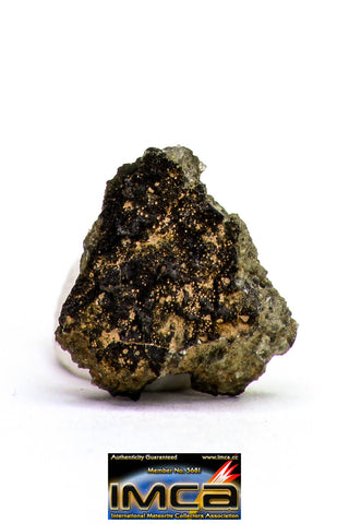 08878 - MARTIAN NWA 6963 Shergottite Meteorite 0.316 g Thin Section with Fusion Crust