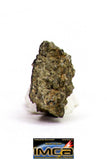 08878 - MARTIAN NWA 6963 Shergottite Meteorite 0.316 g Thin Section with Fusion Crust
