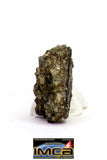 08878 - MARTIAN NWA 6963 Shergottite Meteorite 0.316 g Thin Section with Fusion Crust
