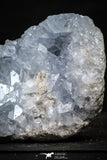 22210 - Superb Celestine Geode Madagascar - 573 g