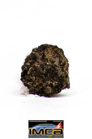08882 - MARTIAN NWA 6963 Shergottite Meteorite 0.159 g Thin Section with Fusion Crust