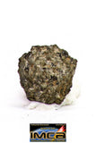 08882 - MARTIAN NWA 6963 Shergottite Meteorite 0.159 g Thin Section with Fusion Crust