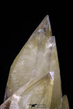 20799 - Top Beautiful Huge 6.30 Inch Calcite Crystals from South Morocco - New Location