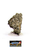 08889 - MARTIAN NWA 6963 Shergottite Meteorite 0.093 g Thin Section with Fusion Crust