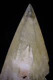 20801 - Top Beautiful Huge 5.41 Inch Calcite Crystals from South Morocco - New Location