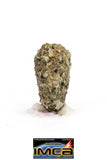 08890 - MARTIAN NWA 6963 Shergottite Meteorite 0.086 g Thin Section