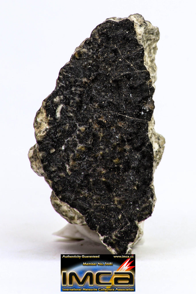 08893 - Fragment 3.673g NWA Monomict Eucrite Achondrite with Fresh Fusion Crust Meteorite