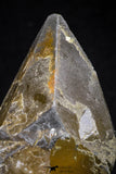 20804 - Top Beautiful Huge 4.07 Inch Calcite Crystals from South Morocco - New Location