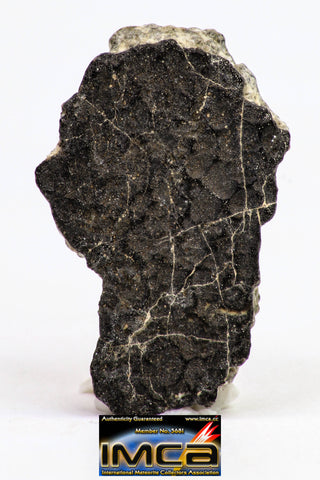 08894 - Fragment 1.739g NWA Monomict Eucrite Achondrite with Fresh Fusion Crust Meteorite