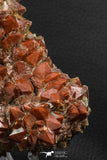 07804 - Top Beautiful 5.09 Inch Natural Quartz Crystals (hematoide variety) Jbel Saghro Mines