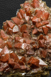 07804 - Top Beautiful 5.09 Inch Natural Quartz Crystals (hematoide variety) Jbel Saghro Mines