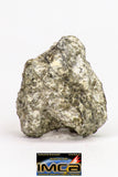 08896 - Fragment 1.924 g NWA Monomict Eucrite Achondrite with Fresh Fusion Crust Meteorite