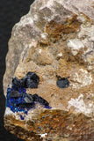 07805 - Beautiful Deep Blue Azurite Crystals on Carbonate Matrix - Kerrouchen (Morocco)
