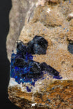 07805 - Beautiful Deep Blue Azurite Crystals on Carbonate Matrix - Kerrouchen (Morocco)