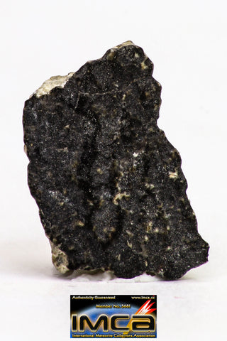 08897 - Fragment 1.519 g NWA Monomict Eucrite Achondrite with Fresh Fusion Crust Meteorite