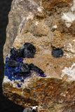 07805 - Beautiful Deep Blue Azurite Crystals on Carbonate Matrix - Kerrouchen (Morocco)