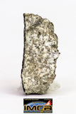 08897 - Fragment 1.519 g NWA Monomict Eucrite Achondrite with Fresh Fusion Crust Meteorite