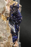 07806 - Beautiful Deep Blue Azurite Crystals on Carbonate Matrix - Kerrouchen (Morocco)