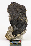 08898 - Fragment 1.832 g NWA Monomict Eucrite Achondrite with Fresh Fusion Crust Meteorite