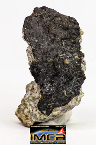 08898 - Fragment 1.832 g NWA Monomict Eucrite Achondrite with Fresh Fusion Crust Meteorite