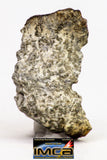 08898 - Fragment 1.832 g NWA Monomict Eucrite Achondrite with Fresh Fusion Crust Meteorite