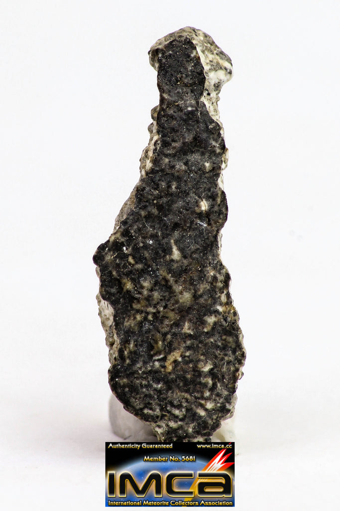 08899 - Fragment 1.627 g NWA Monomict Eucrite Achondrite with Fresh Fusion Crust Meteorite