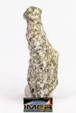 08899 - Fragment 1.627 g NWA Monomict Eucrite Achondrite with Fresh Fusion Crust Meteorite