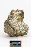 08900 - Fragment 1.443 g NWA Monomict Eucrite Achondrite with Fresh Fusion Crust Meteorite