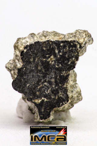 08901 - Fragment 2.100 g NWA Monomict Eucrite Achondrite with Fresh Fusion Crust Meteorite