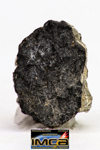 08902 - Fragment 1.496 g NWA Monomict Eucrite Achondrite with Fresh Fusion Crust Meteorite