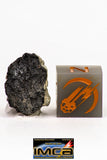 08902 - Fragment 1.496 g NWA Monomict Eucrite Achondrite with Fresh Fusion Crust Meteorite